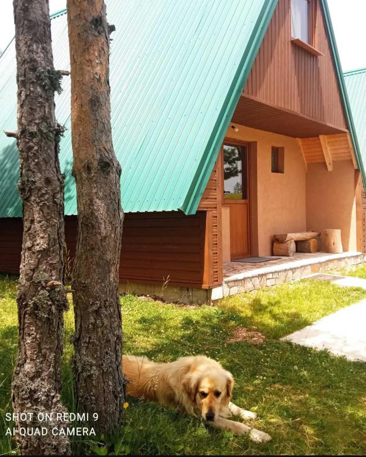 Vikendice Smolovic Villa Žabljak Exterior foto